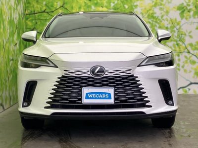 2023 Lexus RX thumbnail 39