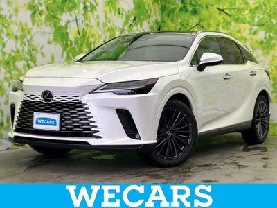 2023 Lexus RX 照片 1