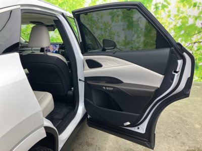 2023 Lexus RX thumbnail 21