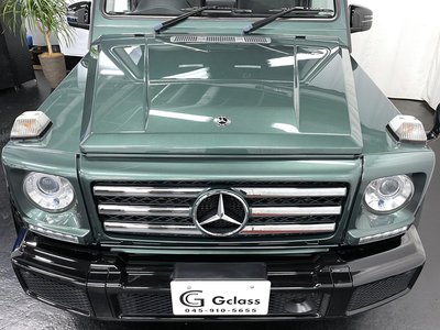 2018 Mercedes-BENZ G-CLASS 缩略图 50