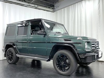 2018 Mercedes-BENZ G-CLASS 缩略图 72