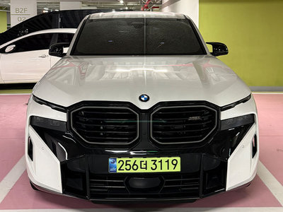 2025 BMW XM 照片 1