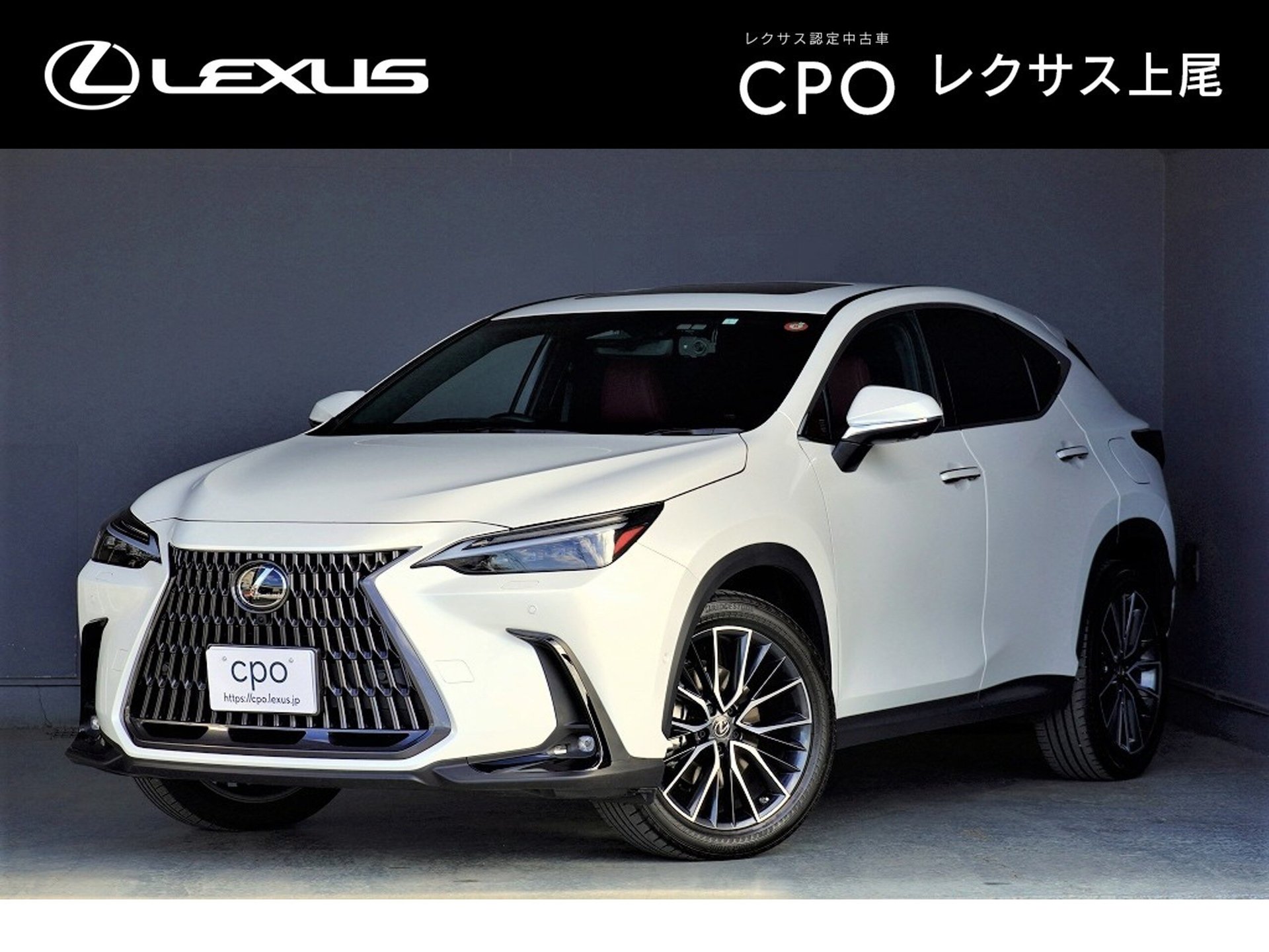 LEXUS NX - View 1