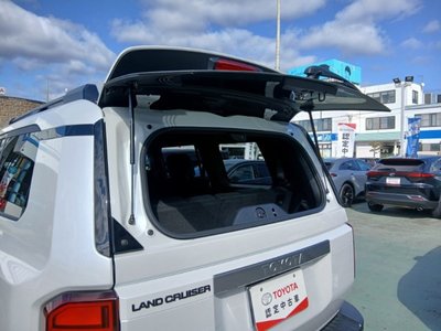 TOYOTA LAND CRUISER 250 - 8