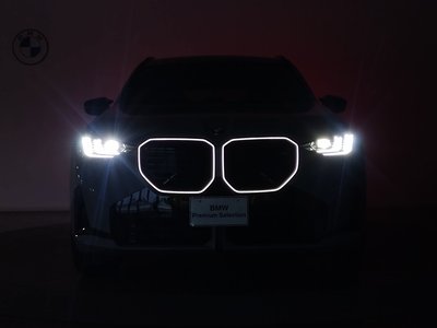 2025 BMW X3 thumbnail 61