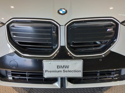2025 BMW X3 thumbnail 74