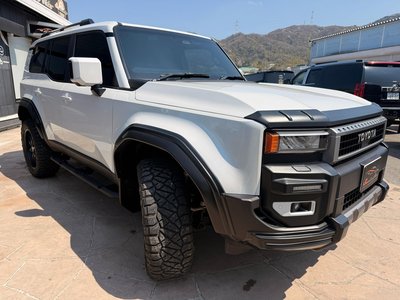 TOYOTA LAND CRUISER 250 - 6