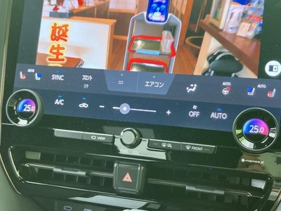 2025 TOYOTA ALPHARD thumbnail 30