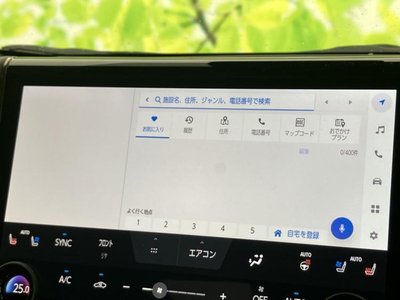 2025 TOYOTA ALPHARD photo 9