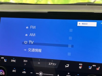 2025 TOYOTA ALPHARD thumbnail 11
