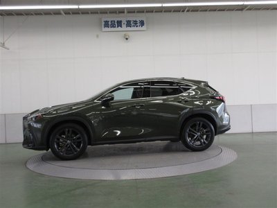 LEXUS NX - 4