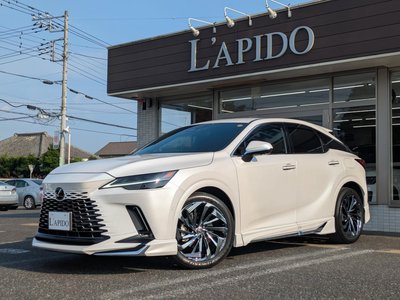 صورة مصغرة 80 لـ 2023 Lexus RX