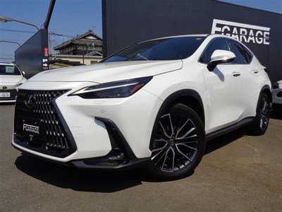 LEXUS NX - 1