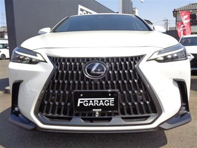 LEXUS NX - 2