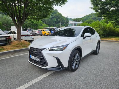 LEXUS NX - 1