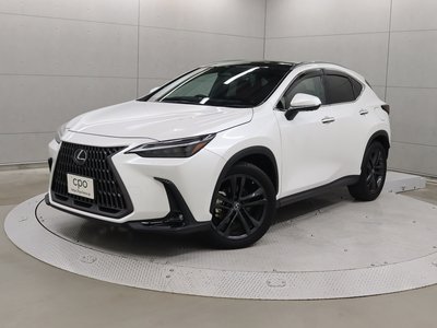 LEXUS NX - 1