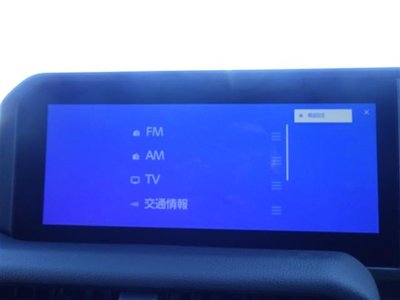 TOYOTA LAND CRUISER 250 - 6