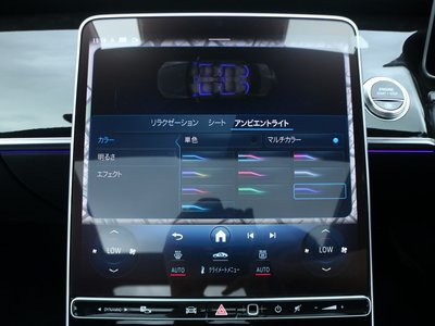 2022 Mercedes-BENZ S-CLASS thumbnail 13