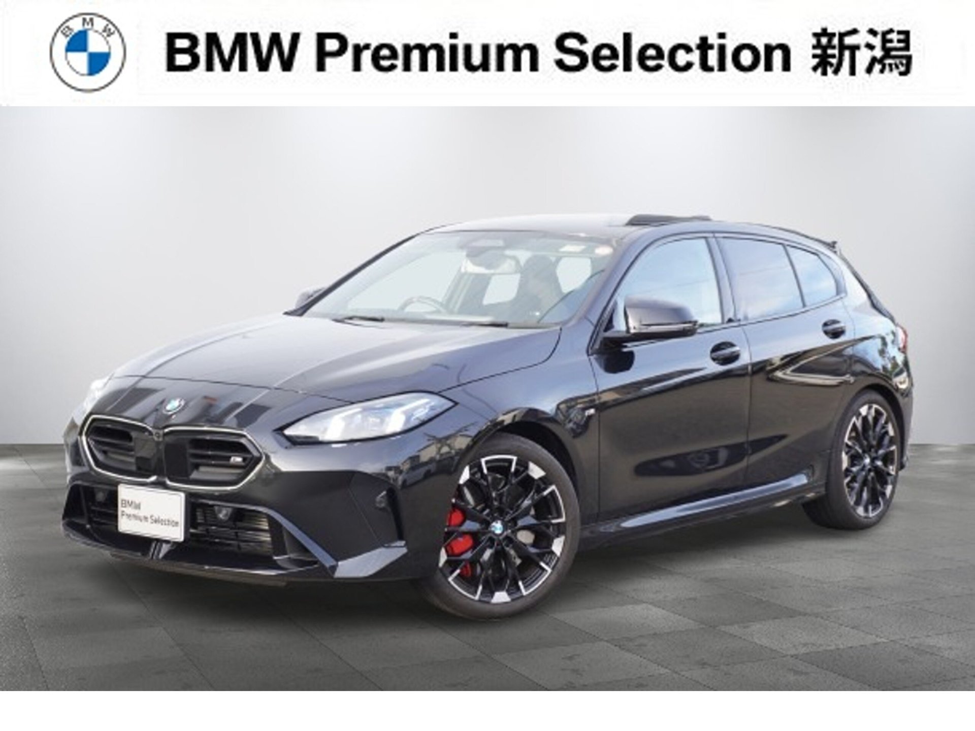 BMW 1 SERIES - View 1