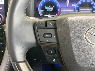2024 Toyota ALPHARD — миниатюра 40