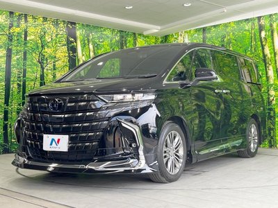 2024 Toyota ALPHARD — миниатюра 24