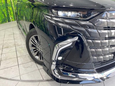 2024 Toyota ALPHARD — миниатюра 13
