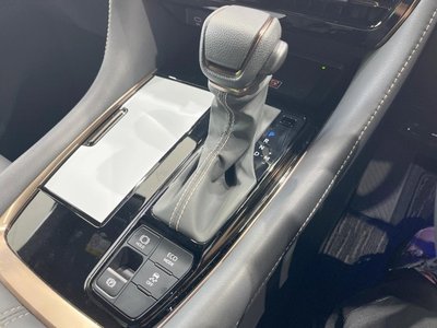 2024 Toyota ALPHARD — миниатюра 36
