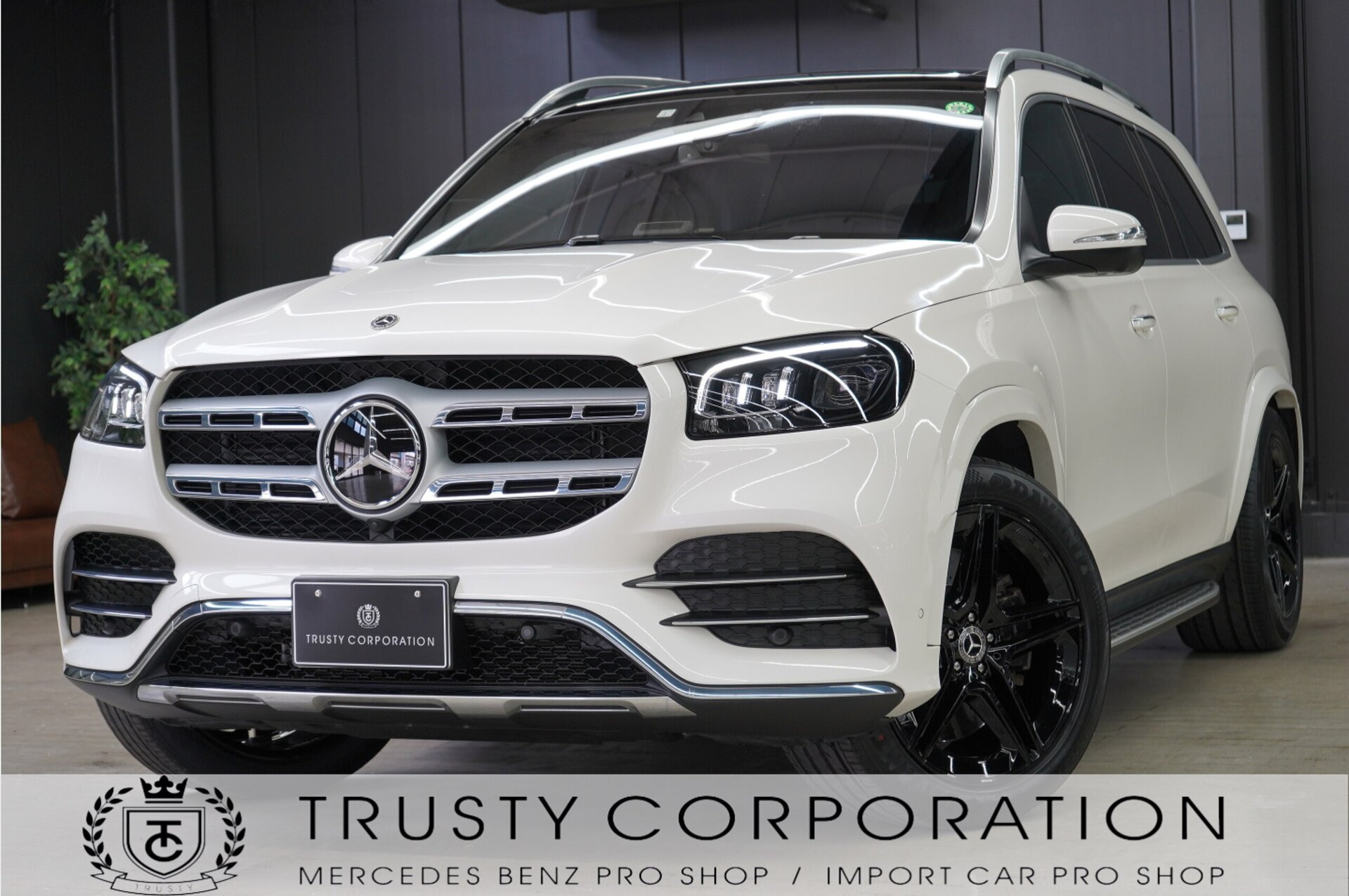 MERCEDES-BENZ GLS - View 1