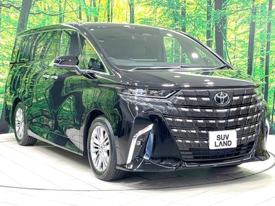 2025 Toyota ALPHARD 缩略图 21
