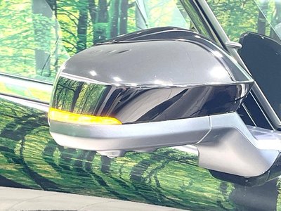 2025 Toyota ALPHARD 缩略图 29