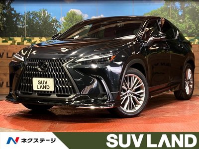 LEXUS NX - 1