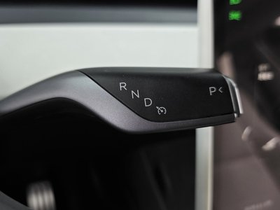 2024 Tesla MODEL Y 照片 9