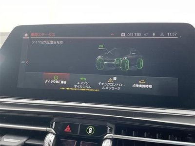 2021 BMW BMW thumbnail 17