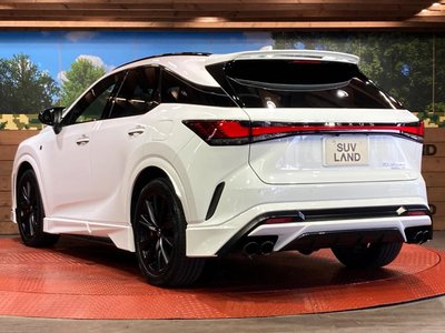 2023 Lexus RX — миниатюра 28