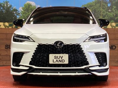 2023 Lexus RX — миниатюра 14