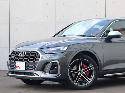 2023 AUDI SQ5 照片 5