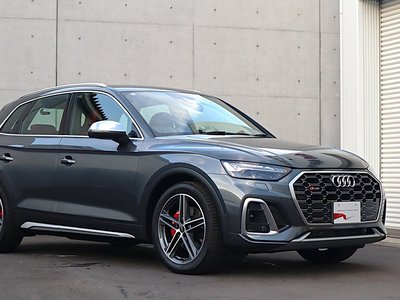 2023 AUDI SQ5 照片 9