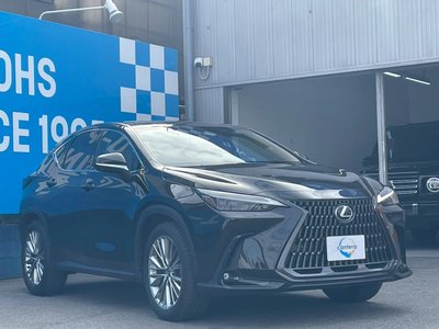 LEXUS NX - 1