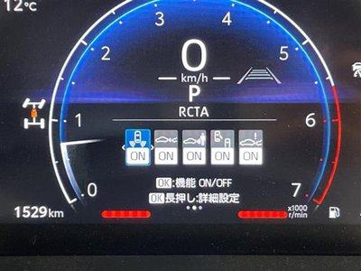 TOYOTA LAND CRUISER 250 - 7