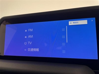 TOYOTA LAND CRUISER 250 - 4