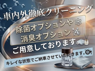 Thumbnail 28