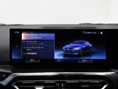 2022 BMW 2 SERIES COUPE — миниатюра 38