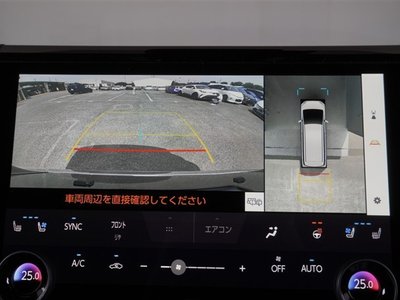 2025 Toyota ALPHARD 照片 8