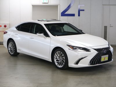 2021 Lexus ES photo 8