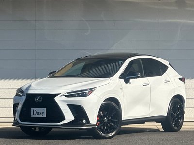 LEXUS NX - 4