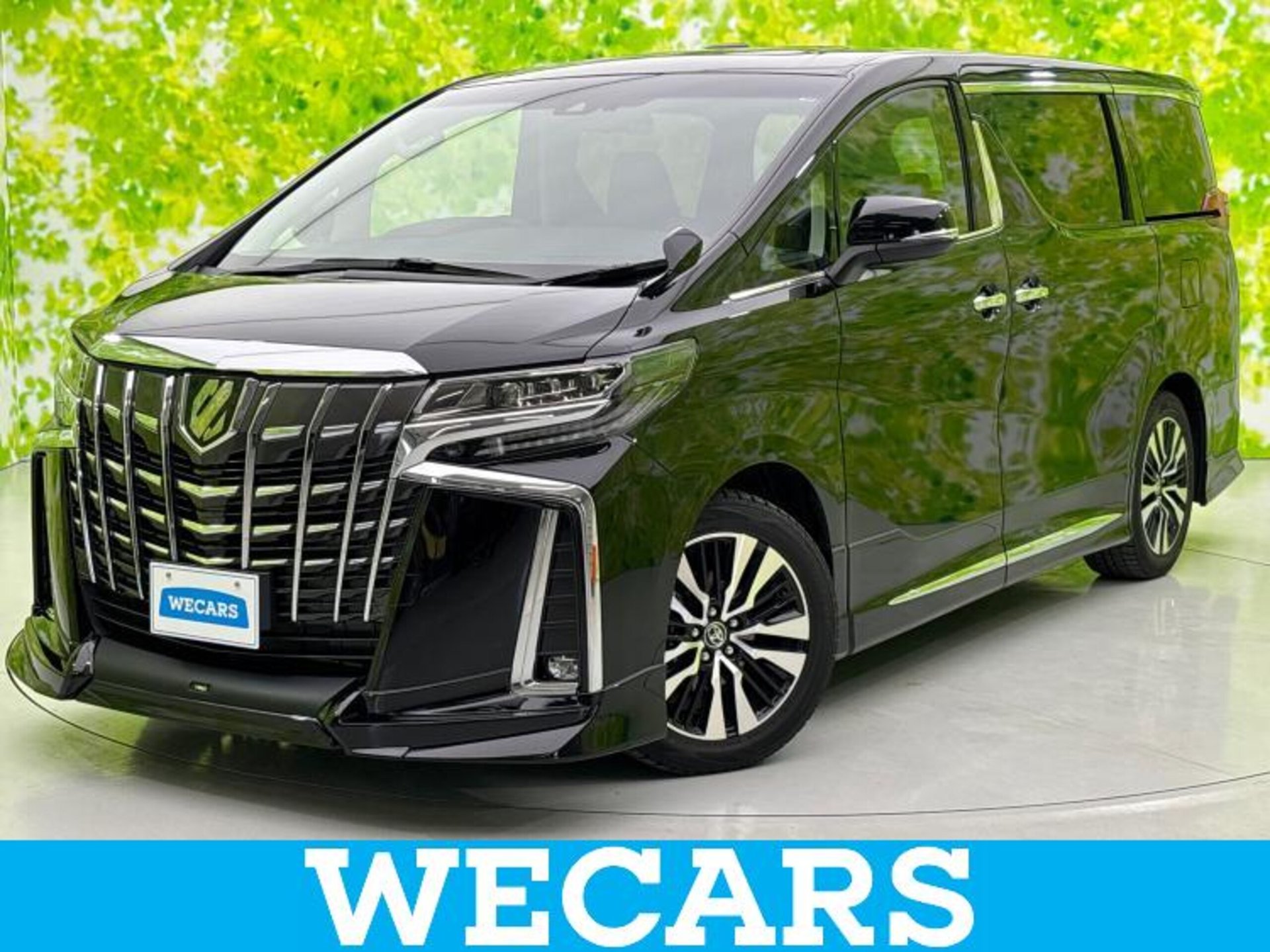 TOYOTA ALPHARD - View 1