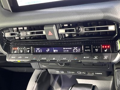 2025 Toyota LAND CRUISER 250 缩略图 29