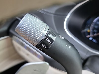 2020 Genesis GV80 缩略图 29