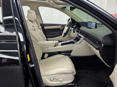2020 Genesis GV80 缩略图 17