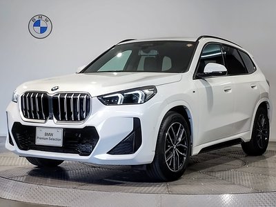 BMW X1 - 1